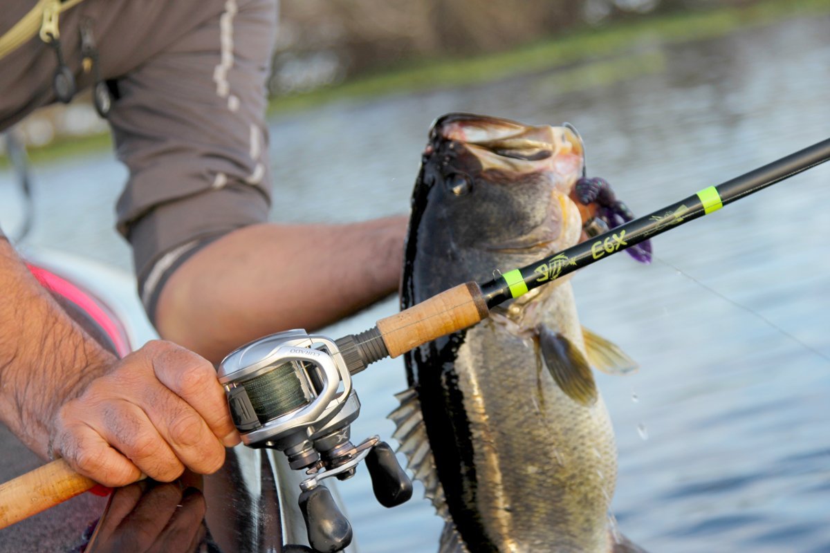 10 Best Fishing Rods - 2022 Buying Guide - Fished That