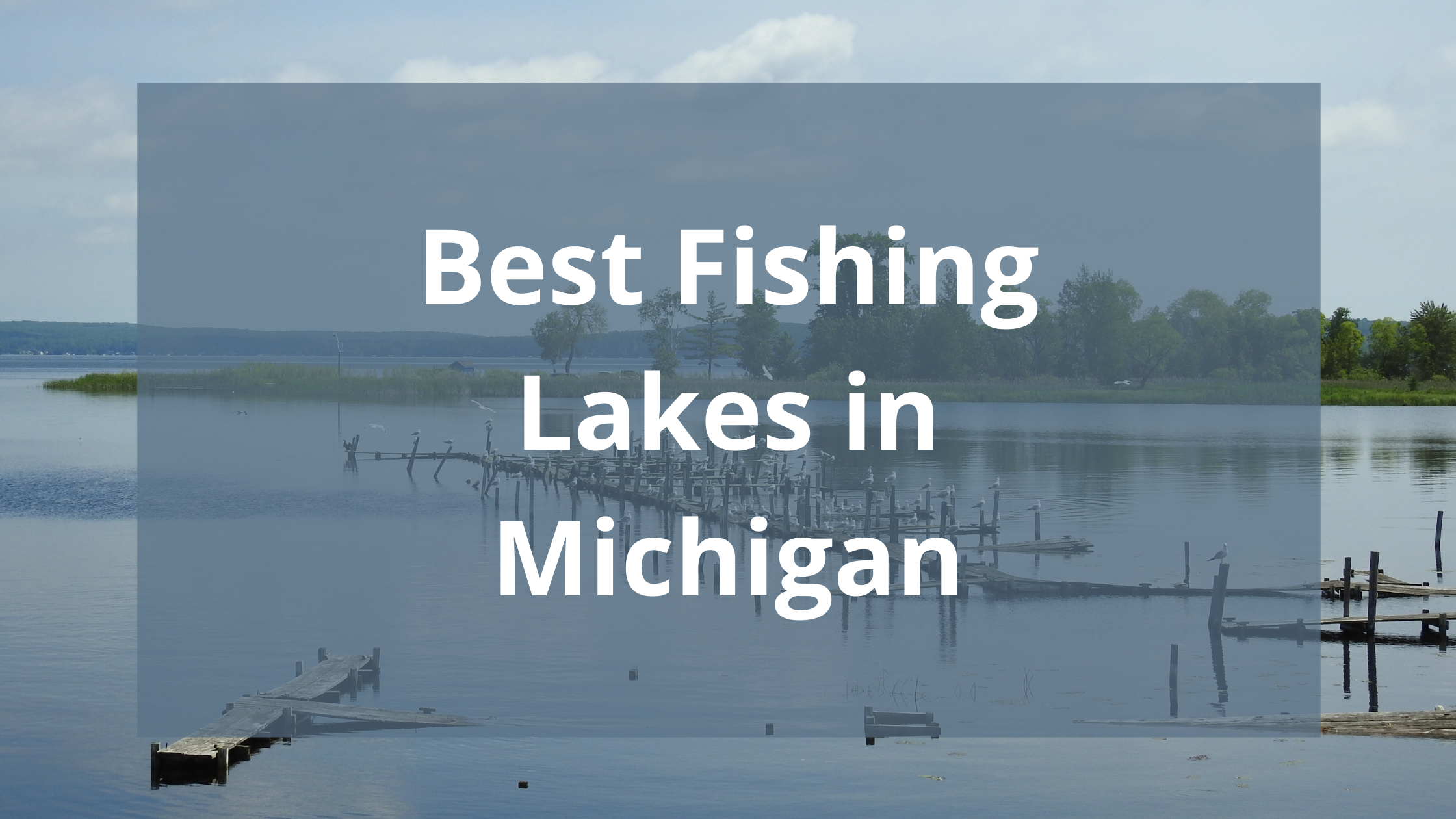 Best Fishing Lakes In Michigan