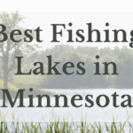 Best Fishing Lakes In Minnesota
