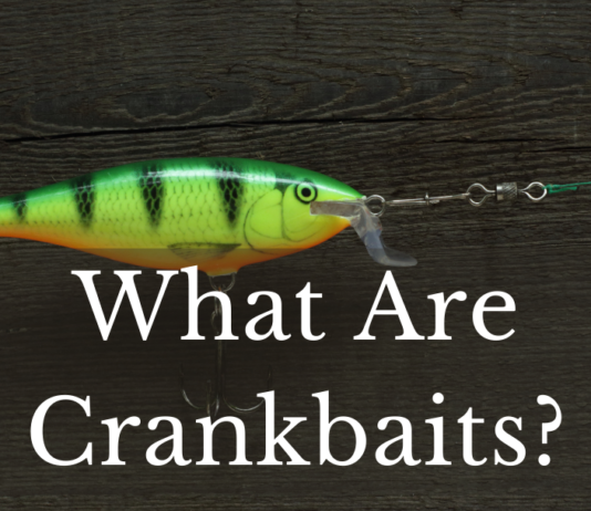 What Are Crankbaits