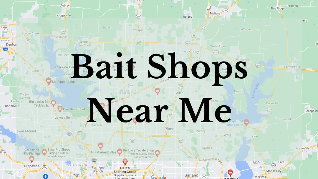 Bait Shops Near Me