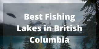 Best Fishing Lakes In British Columbia