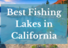 Best Fishing Lakes In California