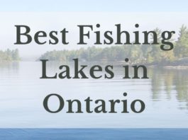 Best Fishing Lakes In Ontario
