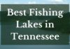 Best Fishing Lakes In Tennessee