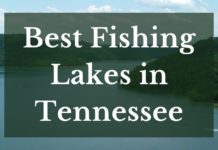 Best Fishing Lakes In Tennessee