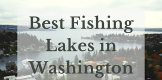Best Fishing Lakes In Washington