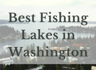 Best Fishing Lakes In Washington