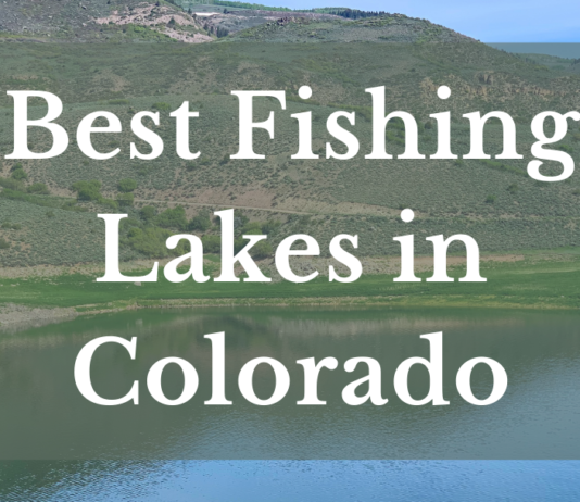 Best Fishing Lakes In Colorado