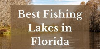 Best Fishing Lakes In Florida