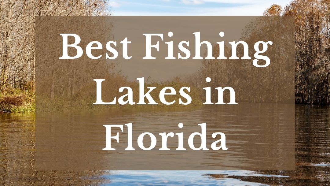 Best Fishing Lakes In Florida