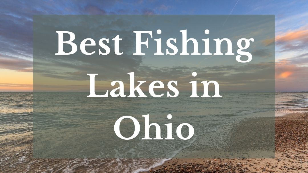 Best Fishing Lakes In Ohio