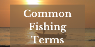Common Fishing Terms