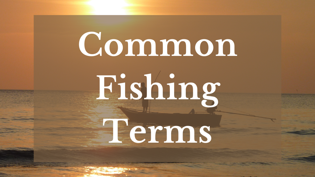 Common Fishing Terms