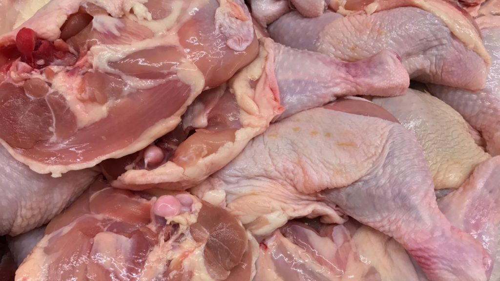Close-up of fresh chicken parts. 
