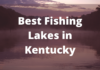 Best Fishing Lakes In Kentucky