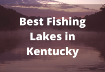 Best Fishing Lakes In Kentucky