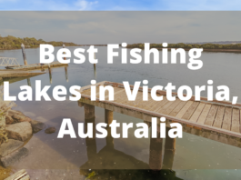 Best Fishing Lakes In Victoria, Australia