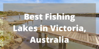 Best Fishing Lakes In Victoria, Australia
