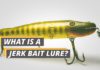 Fished That's what is a jerk bait lure featured image