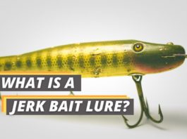 Fished That's what is a jerk bait lure featured image