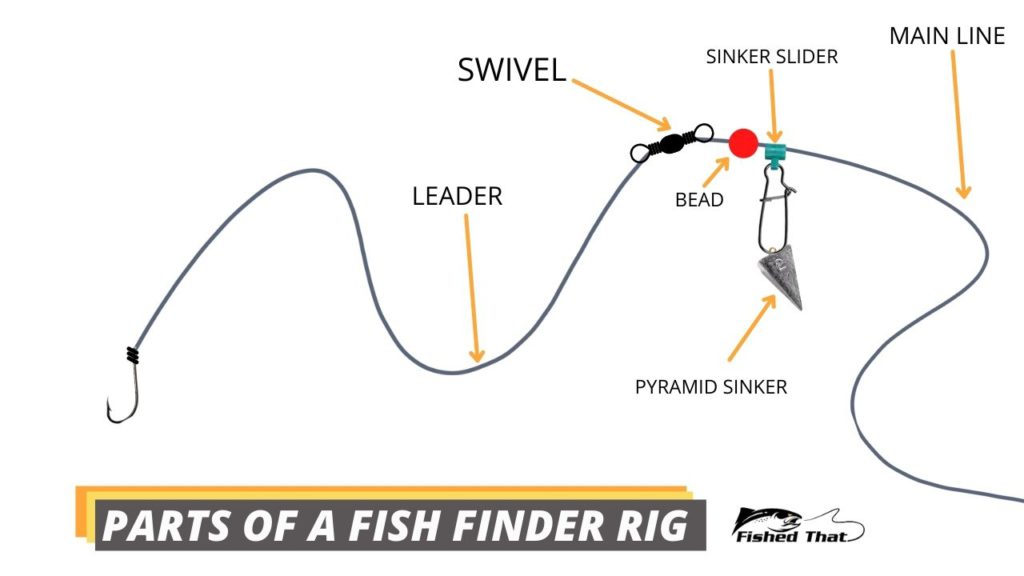 Diagram showing the parts of a fish finder rig