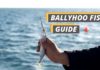 Ballyhoo fish featured image from Fished That