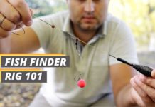 Fished That's fish finder rig 101 featured image