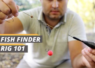Fished That's fish finder rig 101 featured image