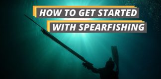 Fished That's get started with spearfishing featured image