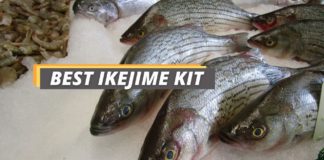 Fished That's best ikejime kit featured image.