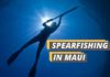 Fished That's featured image for spearfishing Maui guide.