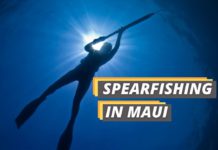 Fished That's featured image for spearfishing Maui guide.