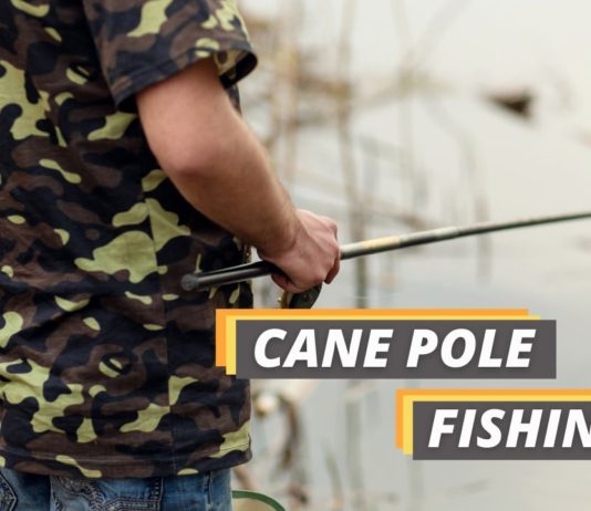 Fished That's cane pole fishing guide featured image