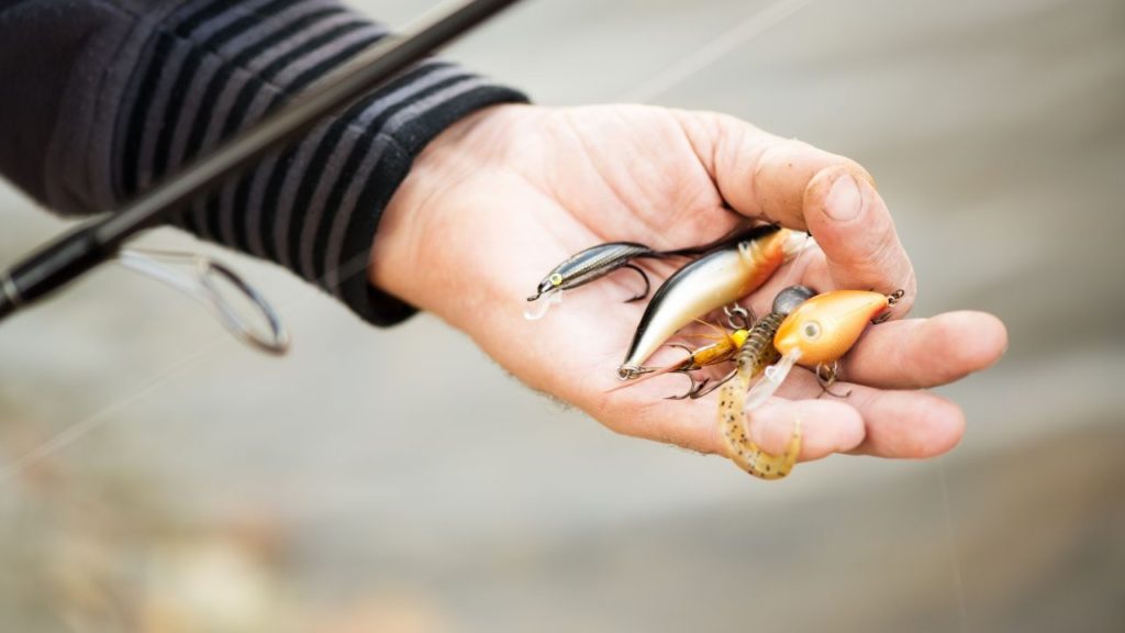 A person holding different artificial fishing lures
