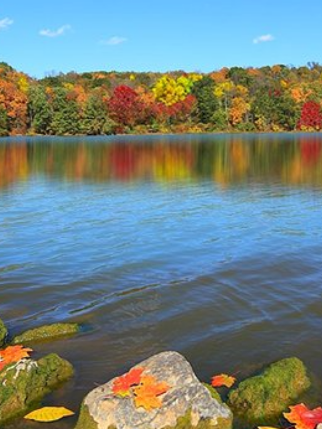 Best Fishing Lakes In Ohio Cover Image