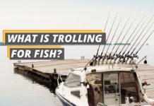 What is trolling for fish featured image from FishedThat