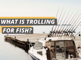 What is trolling for fish featured image from FishedThat