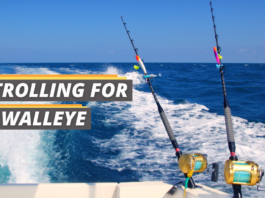 Trolling for walleye featured image from FishedThat