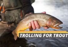 Trolling for trout featured image from Fished That