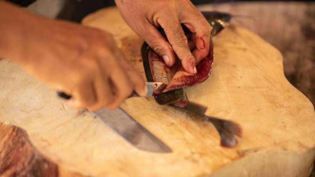 A person slicing a catfish meat from the spine.