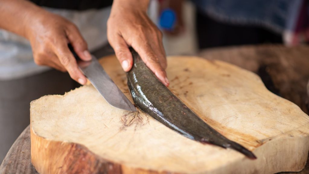 A person holding a knife to cut a catfish