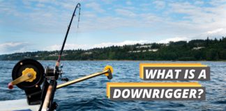 what is a downrigger featured image from Fished That
