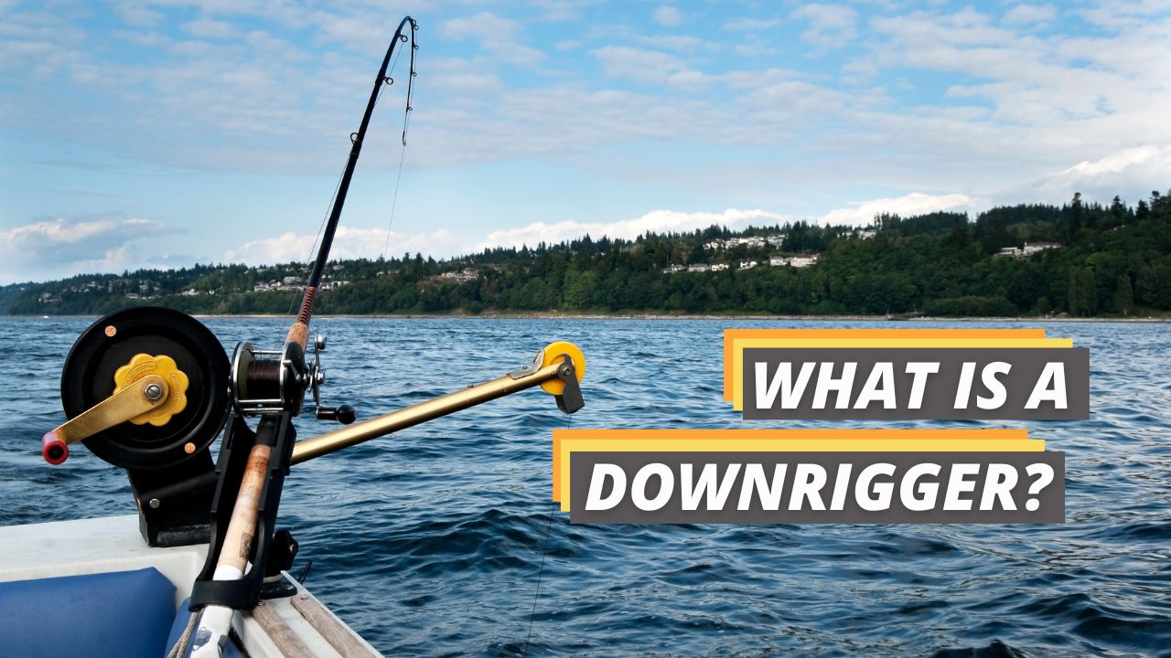 Downrigging 101 What Is a Downrigger? Fished That