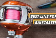 best line for baitcaster featured image from Fished That