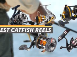 Best catfish reels featured image from Fished That