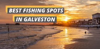 fishing spots in Galveston featured image by Fished That.