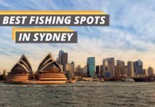 Best fishing spots in Sydney featured image