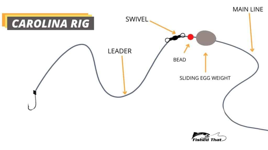 Carolina rig diagram for surfcasting