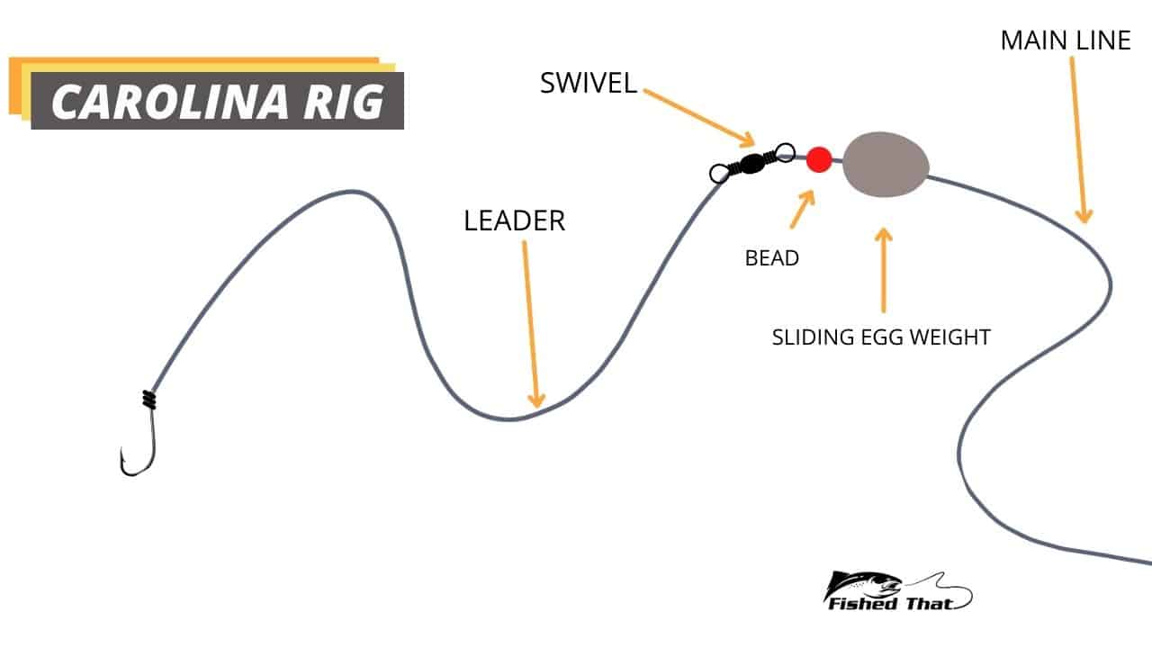 diagram showing the typical setup of a pompano rig for surfcasting